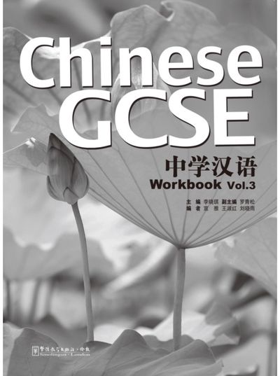 Chinese GCSE Workbook Vol.3
