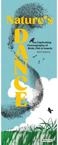 Natures Dance: The Captivating Choreography of Birds, Fish & Insects