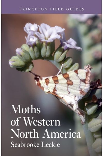 Moths of Western North America