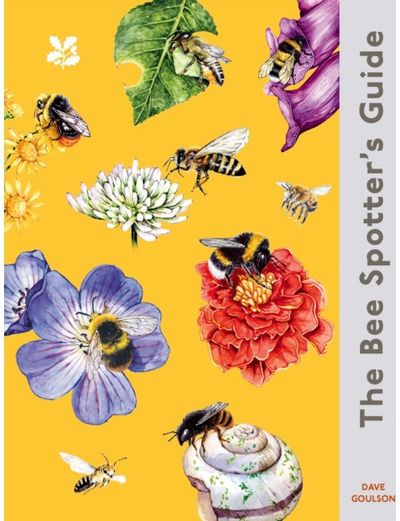 Bee Spotter’s Guide