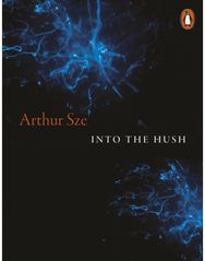 Into the Hush