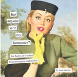 Has Anyone Seen My Hormones?: And Other Hot Flashes of Wisdom from Menopause and Midlife
