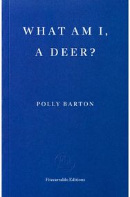 What Am I, A Deer?