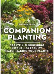 Companion Planting: Create a Flourishing Kitchen Garden By Matchmaking Your Plants