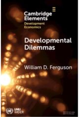 Developmental Dilemmas: The Role of Power and Agency