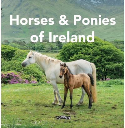 Horses and Ponies of Ireland