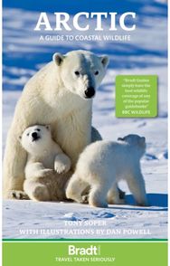 Arctic: A guide to coastal wildlife