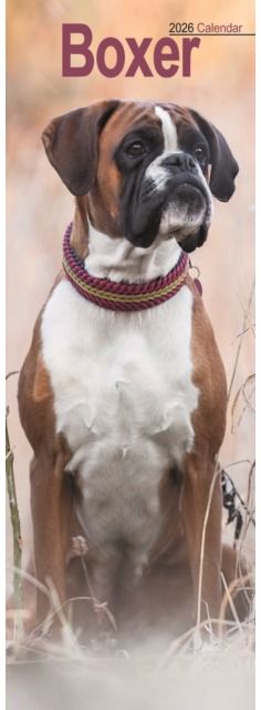 Boxer Slim Calendar 2026 Dog Breed Slimline Calendar - 12 Month