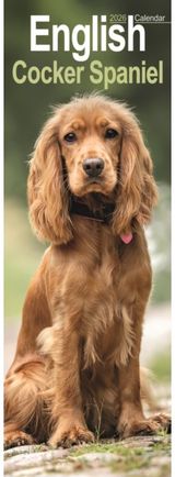 English Cocker Spaniel Slim Calendar 2026 Dog Breed Slimline Calendar - 12 Month