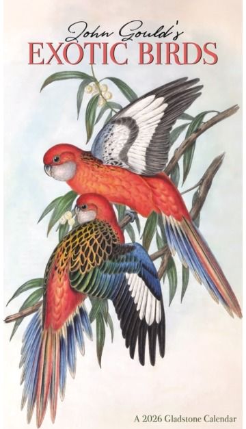 Goulds Exotic Birds Deluxe Wall Sunday S