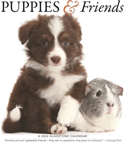 Puppies Friends Square Wall Sunday Start