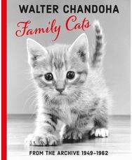 Walter Chandoha: Family Cats From the Archive 1949-1962