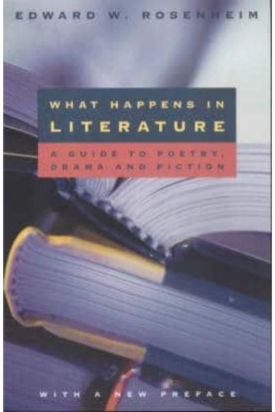 What Happens in Literature