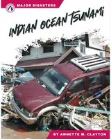 Indian Ocean Tsunami
