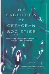Evolution of Cetacean Societies: Uncovering the Social Complexity of Whales and Dolphins