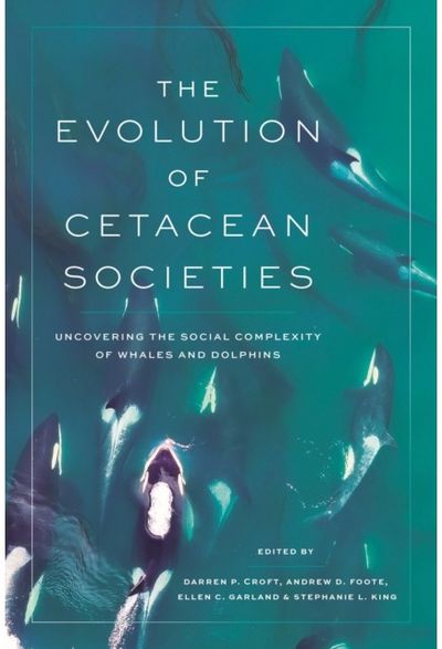 Evolution of Cetacean Societies: Uncovering the Social Complexity of Whales and Dolphins