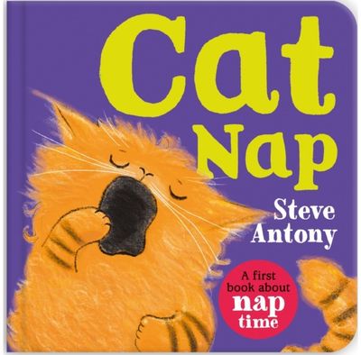 Cat Nap: A First Book About Naptime