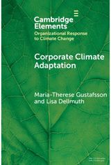 Corporate Climate Adaptation: Translating Complex Societal Risks into Business as Usual