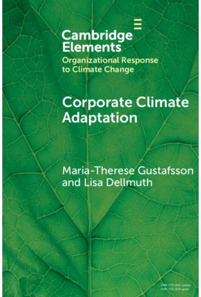 Corporate Climate Adaptation: Translating Complex Societal Risks into Business as Usual