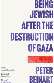 Being Jewish After the Destruction of Gaza