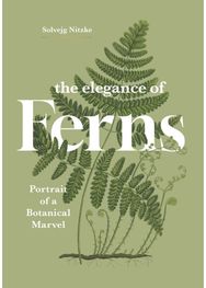 Elegance of Ferns: Portrait of a Botanical Marvel