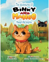 THE ADVENTURES OF BINKY AND MANGO: MANGO'S BIG SURPRISE