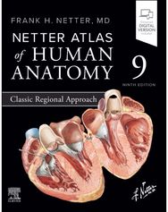 Netter Atlas of Human Anatomy: Classic Regional Approach: paperback + eBook