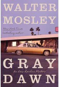 Gray Dawn