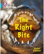 Right Bite: Band 07/Turquoise