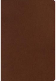 ESV Mens Study Bible