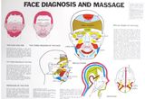 Face Diagnosis and Massage