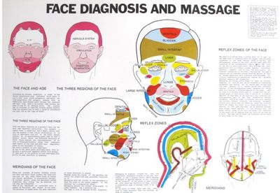Face Diagnosis and Massage