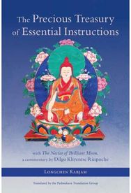 Precious Treasury of Essential Instructions: Explanations on the Treasury of Essential Instructions of Gyalwa Longchen Rabjam