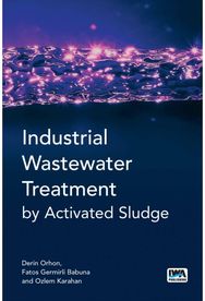 Industrial Wastewater Treatment by Activated Sludge