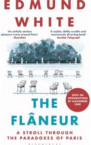 Flaneur: A Stroll through the Paradoxes of Paris