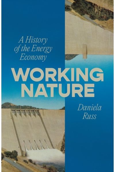 Working Nature: A History of the Energy Economy