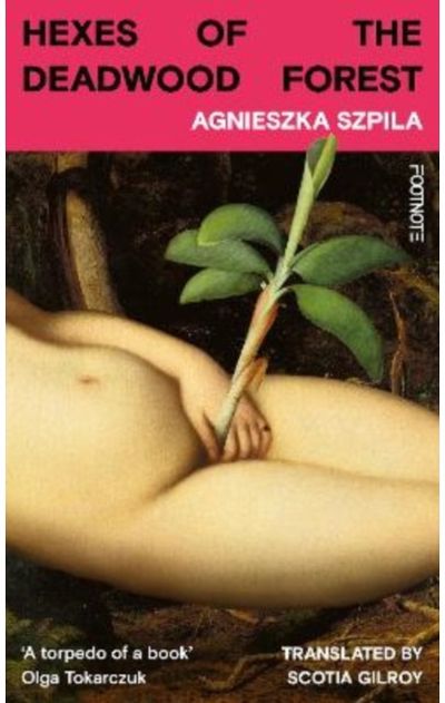 Hexes of the Deadwood Forest: 'Bold, surreal, feminist & ferociously funny' Service95