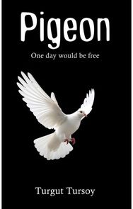 Pigeon: One day would be free