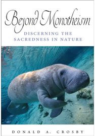 Beyond Monotheism: Discerning the Sacredness in Nature