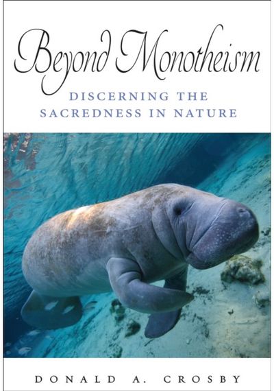 Beyond Monotheism: Discerning the Sacredness in Nature