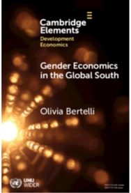 Gender Economics in the Global South