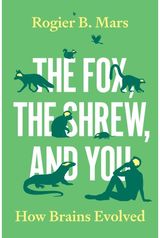 Fox, the Shrew, and You: How Brains Evolved