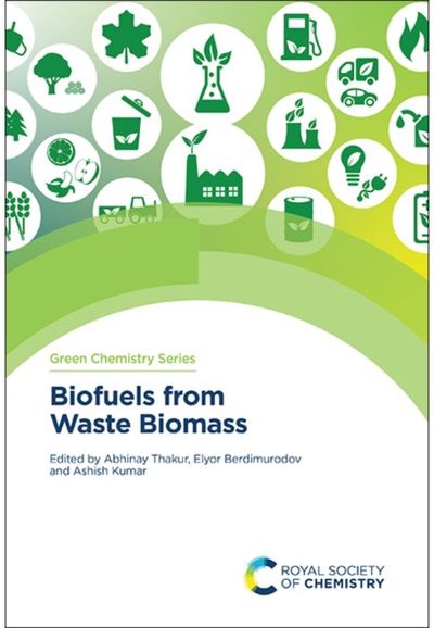 Biofuels from Waste Biomass