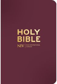 NIV Pocket Mulberry Bible with Gold Zip