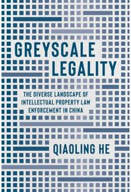 Greyscale Legality: The Diverse Landscape of Intellectual Property Law Enforcement in China