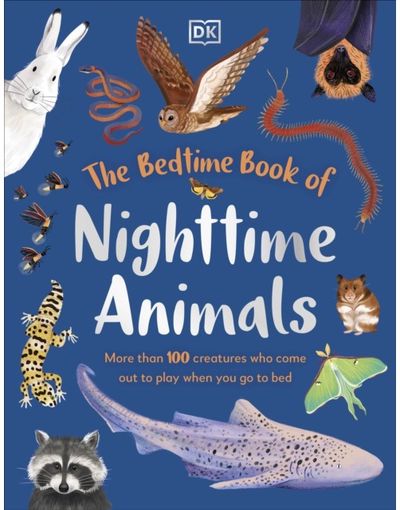 Bedtime Book of Nighttime Animals: More Than 100 Creatures Who Come Out to Play When You Go to Bed