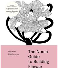 Noma Guide to Building Flavour: Including recipes and techniques for sauces, butters, broths, reductions, preserves, vinaigrettes, flavoured salts, and infused oils