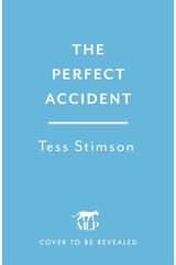 Perfect Accident: an absolutely gripping psychological suspense thriller to keep you hooked in 2026