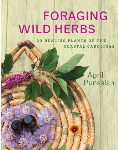 Foraging Wild Herbs: 30 Healing Plants of the Coastal Carolinas