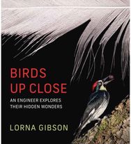 Birds Up Close: An Engineer Explores Their Hidden Wonders